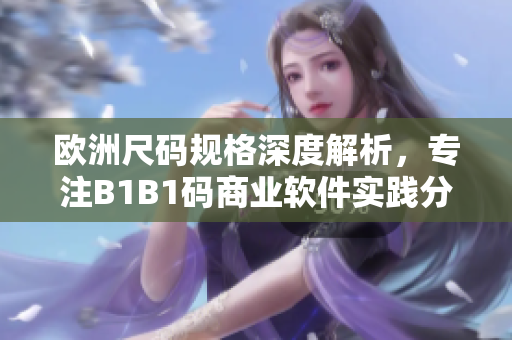 欧洲尺码规格深度解析，专注B1B1码商业软件实践分享