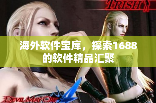 海外软件宝库，探索1688的软件精品汇聚