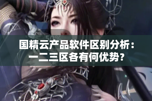 国精云产品软件区别分析：一二三区各有何优势？