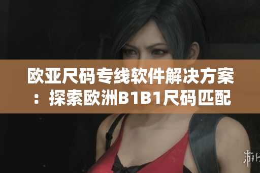 欧亚尺码专线软件解决方案：探索欧洲B1B1尺码匹配系统