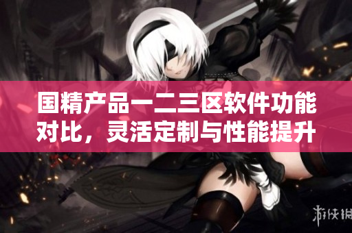 国精产品一二三区软件功能对比，灵活定制与性能提升如何选择？