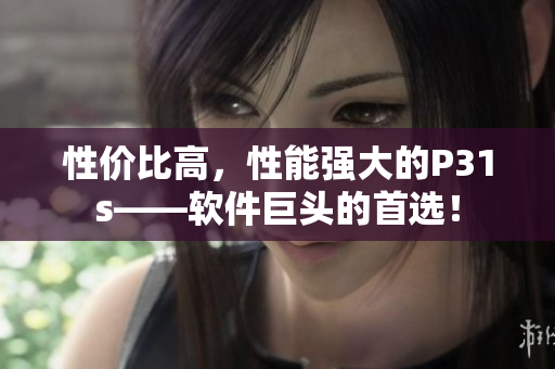 性价比高，性能强大的P31s——软件巨头的首选！