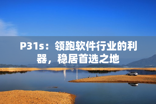 P31s：领跑软件行业的利器，稳居首选之地