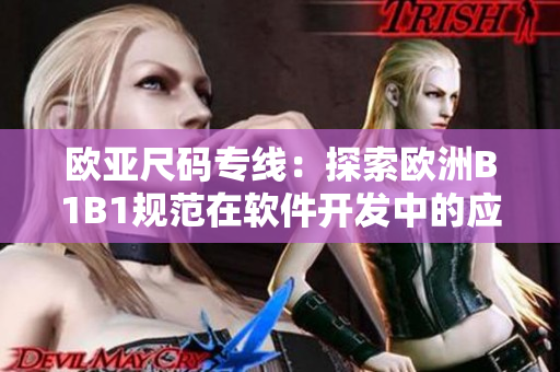 欧亚尺码专线：探索欧洲B1B1规范在软件开发中的应用前景