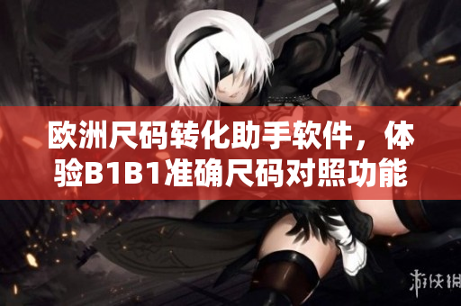 欧洲尺码转化助手软件，体验B1B1准确尺码对照功能