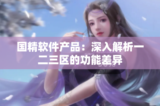 国精软件产品：深入解析一二三区的功能差异