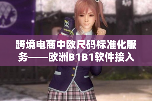 跨境电商中欧尺码标准化服务——欧洲B1B1软件接入业务