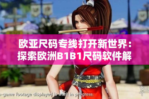 欧亚尺码专线打开新世界：探索欧洲B1B1尺码软件解决方案