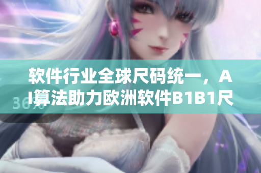 软件行业全球尺码统一，AI算法助力欧洲软件B1B1尺码管理