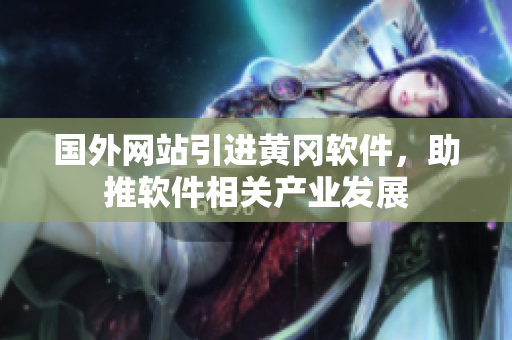 国外网站引进黄冈软件，助推软件相关产业发展
