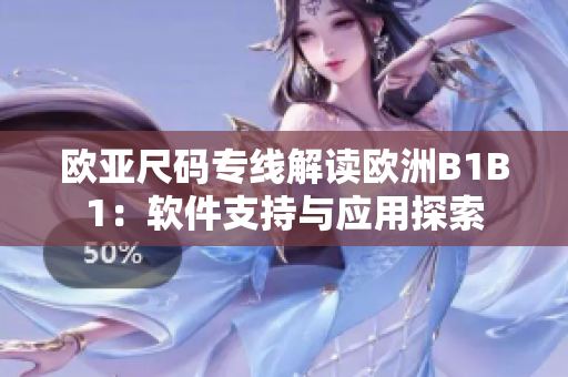 欧亚尺码专线解读欧洲B1B1：软件支持与应用探索
