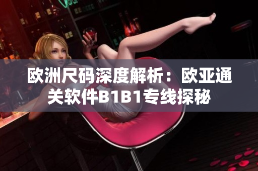 欧洲尺码深度解析：欧亚通关软件B1B1专线探秘