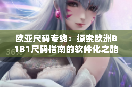 欧亚尺码专线：探索欧洲B1B1尺码指南的软件化之路