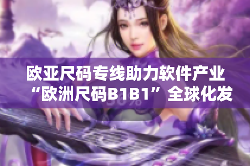 欧亚尺码专线助力软件产业“欧洲尺码B1B1”全球化发展