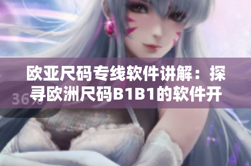 欧亚尺码专线软件讲解：探寻欧洲尺码B1B1的软件开发步骤