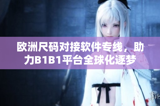 欧洲尺码对接软件专线，助力B1B1平台全球化逐梦