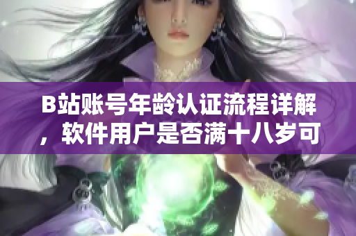 B站账号年龄认证流程详解，软件用户是否满十八岁可进行实名认证？