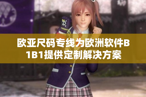 欧亚尺码专线为欧洲软件B1B1提供定制解决方案