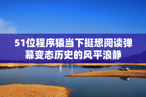 51位程序猿当下挺想阅读弹幕变态历史的风平浪静