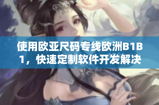 使用欧亚尺码专线欧洲B1B1，快速定制软件开发解决方案