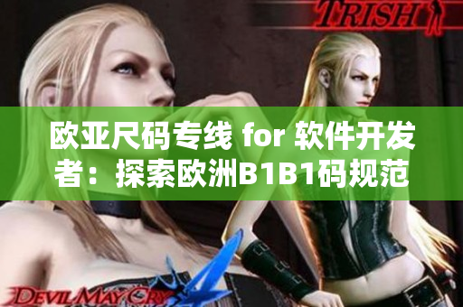 欧亚尺码专线 for 软件开发者：探索欧洲B1B1码规范
