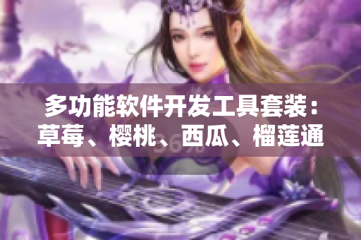 多功能软件开发工具套装：草莓、樱桃、西瓜、榴莲通用包装盒