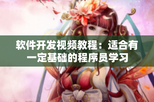 软件开发视频教程：适合有一定基础的程序员学习
