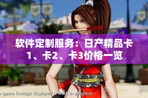 软件定制服务：日产精品卡1、卡2、卡3价格一览