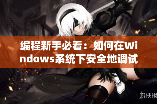 编程新手必看：如何在Windows系统下安全地调试软件？