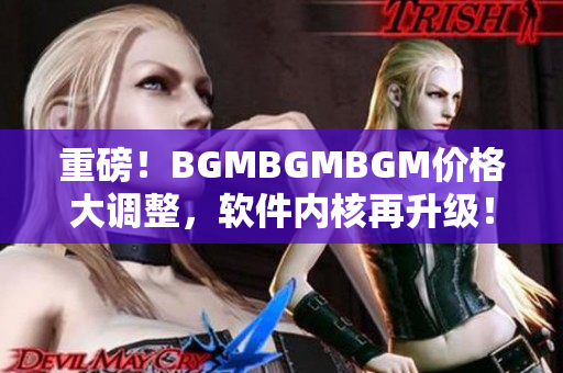 重磅！BGMBGMBGM价格大调整，软件内核再升级！