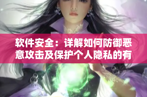 软件安全：详解如何防御恶意攻击及保护个人隐私的有效方法
