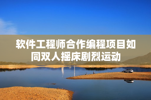 软件工程师合作编程项目如同双人摇床剧烈运动