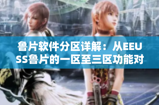 鲁片软件分区详解：从EEUSS鲁片的一区至三区功能对比