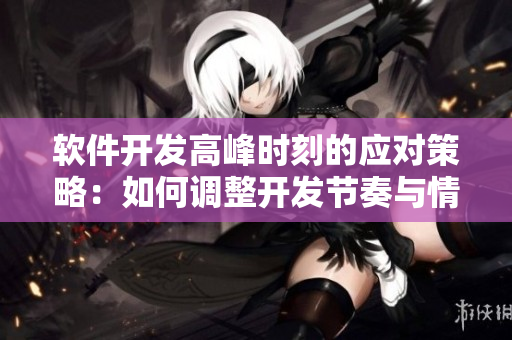 软件开发高峰时刻的应对策略：如何调整开发节奏与情绪管理