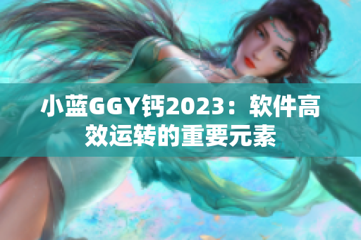 小蓝GGY钙2023：软件高效运转的重要元素