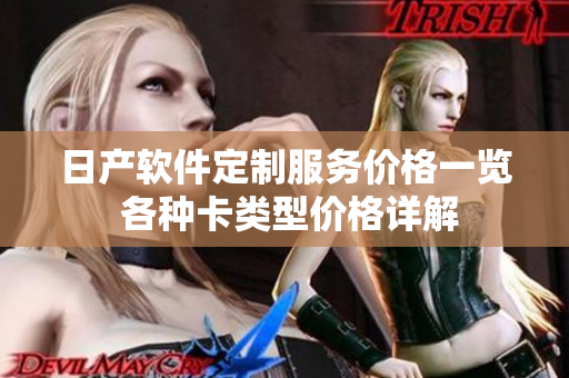 日产软件定制服务价格一览 各种卡类型价格详解