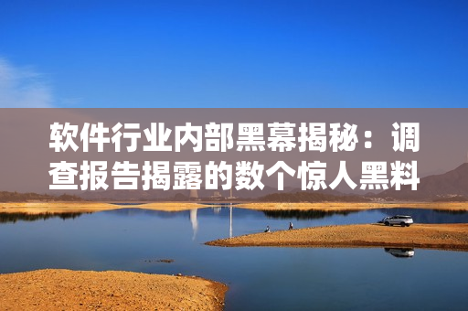 软件行业内部黑幕揭秘：调查报告揭露的数个惊人黑料及公司内幕揭秘