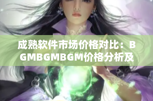 成熟软件市场价格对比：BGMBGMBGM价格分析及选择指南