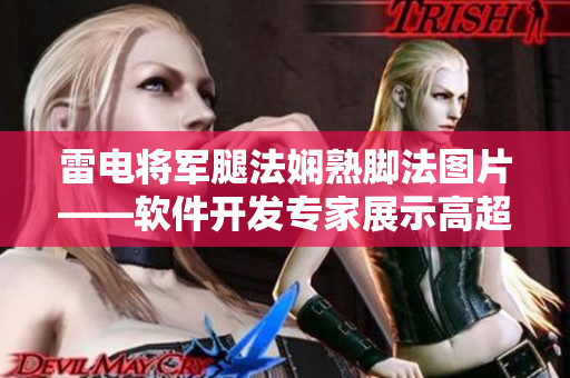 雷电将军腿法娴熟脚法图片——软件开发专家展示高超编程技能