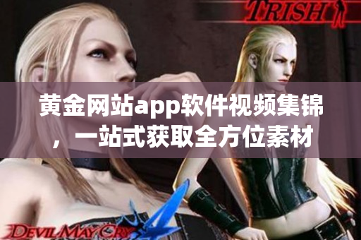 黄金网站app软件视频集锦，一站式获取全方位素材