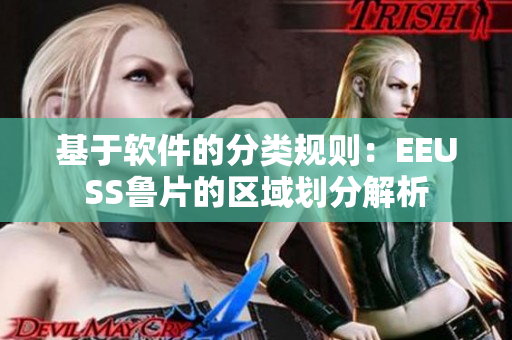 基于软件的分类规则：EEUSS鲁片的区域划分解析