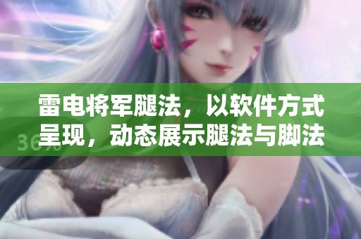 雷电将军腿法，以软件方式呈现，动态展示腿法与脚法图片