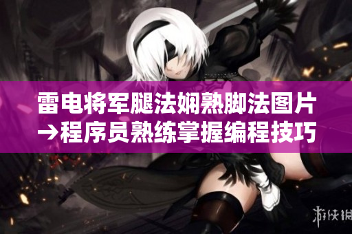 雷电将军腿法娴熟脚法图片→程序员熟练掌握编程技巧关联图解