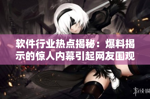 软件行业热点揭秘：爆料揭示的惊人内幕引起网友围观