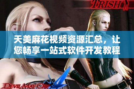 天美麻花视频资源汇总，让您畅享一站式软件开发教程