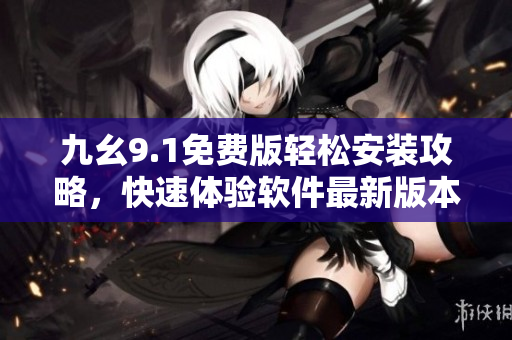 九幺9.1免费版轻松安装攻略，快速体验软件最新版本