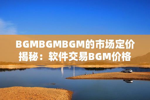 BGMBGMBGM的市场定价揭秘：软件交易BGM价格研究revealed