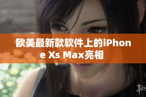 欧美最新款软件上的iPhone Xs Max亮相 