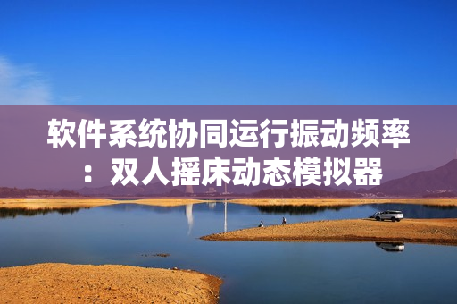 软件系统协同运行振动频率：双人摇床动态模拟器