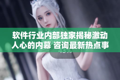 软件行业内部独家揭秘激动人心的内幕 咨询最新热点事件详解